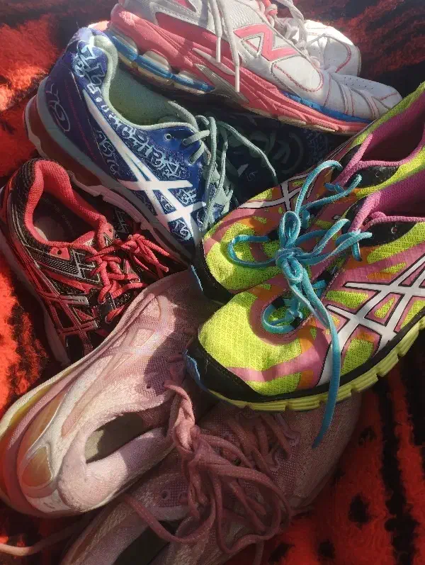 کفش تک|کیف، کفش، کمربند|مرودشت, ژیان|دیوار