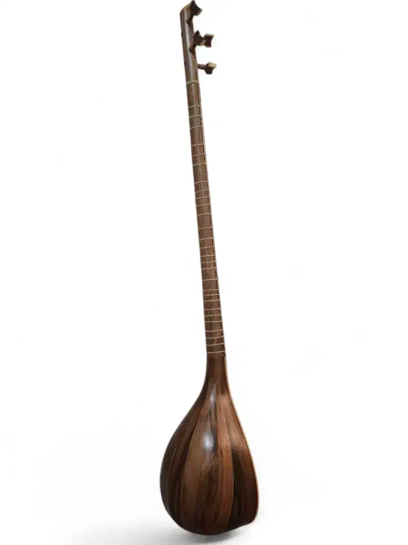 سه تار ، سهسهتار ، ساز ، تار|سازهای سنتی|رشت, حسین آباد|دیوار