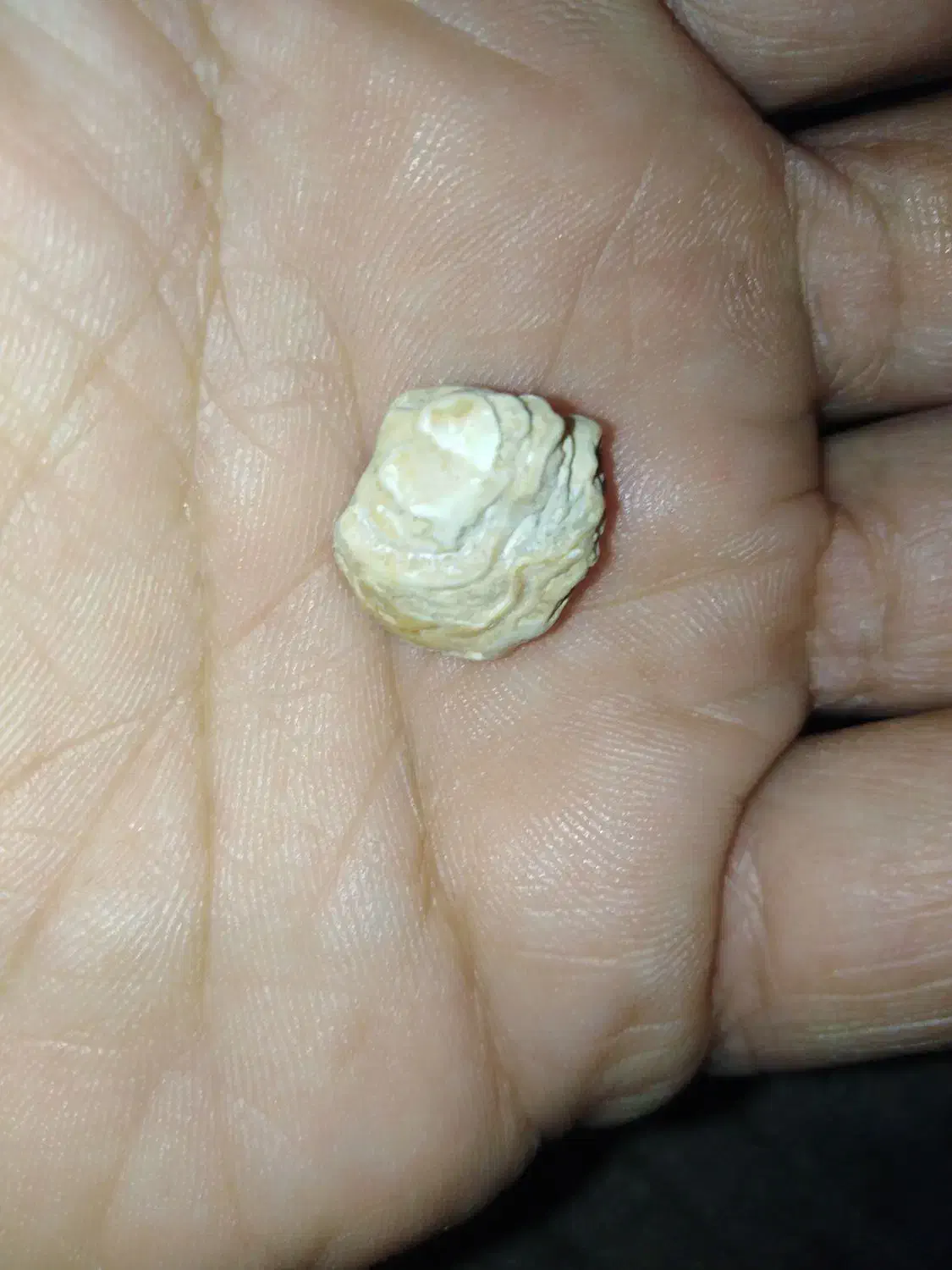 یک عدد سنگ طلا تست شده با کد رسمی|جواهرات|ساوه, |دیوار