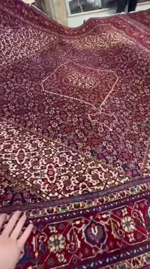 فرش دستباف تبریز ماهی12متری|فرش|تبریز, |دیوار