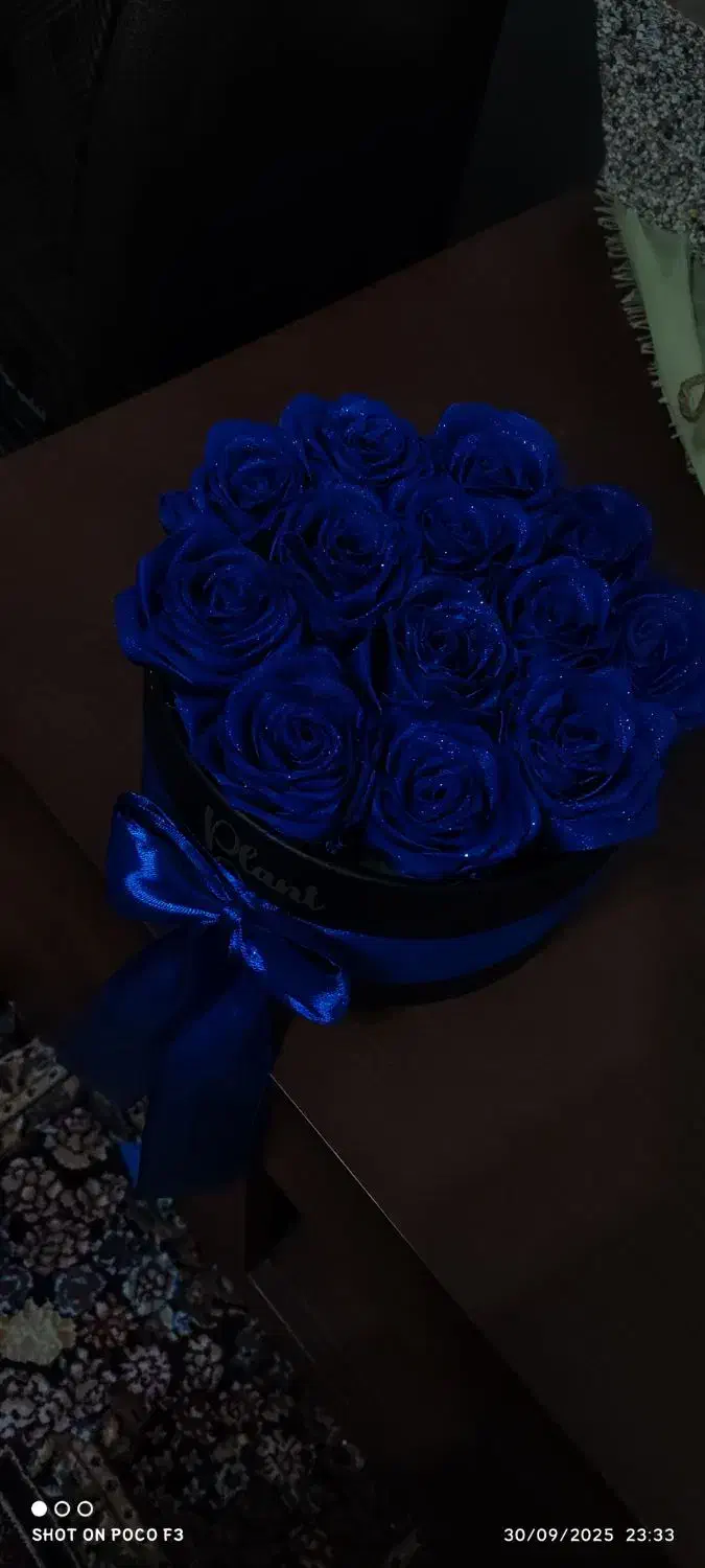 گل های ربانی از شاخه۴۵ تومن گل ها برای نمونه هست|گل مصنوعی|رشت, فخب|دیوار