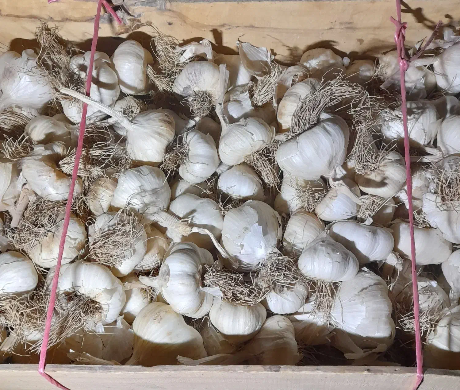 مواد غذایی|خوردنی و آشامیدنی|اشترینان, |دیوار