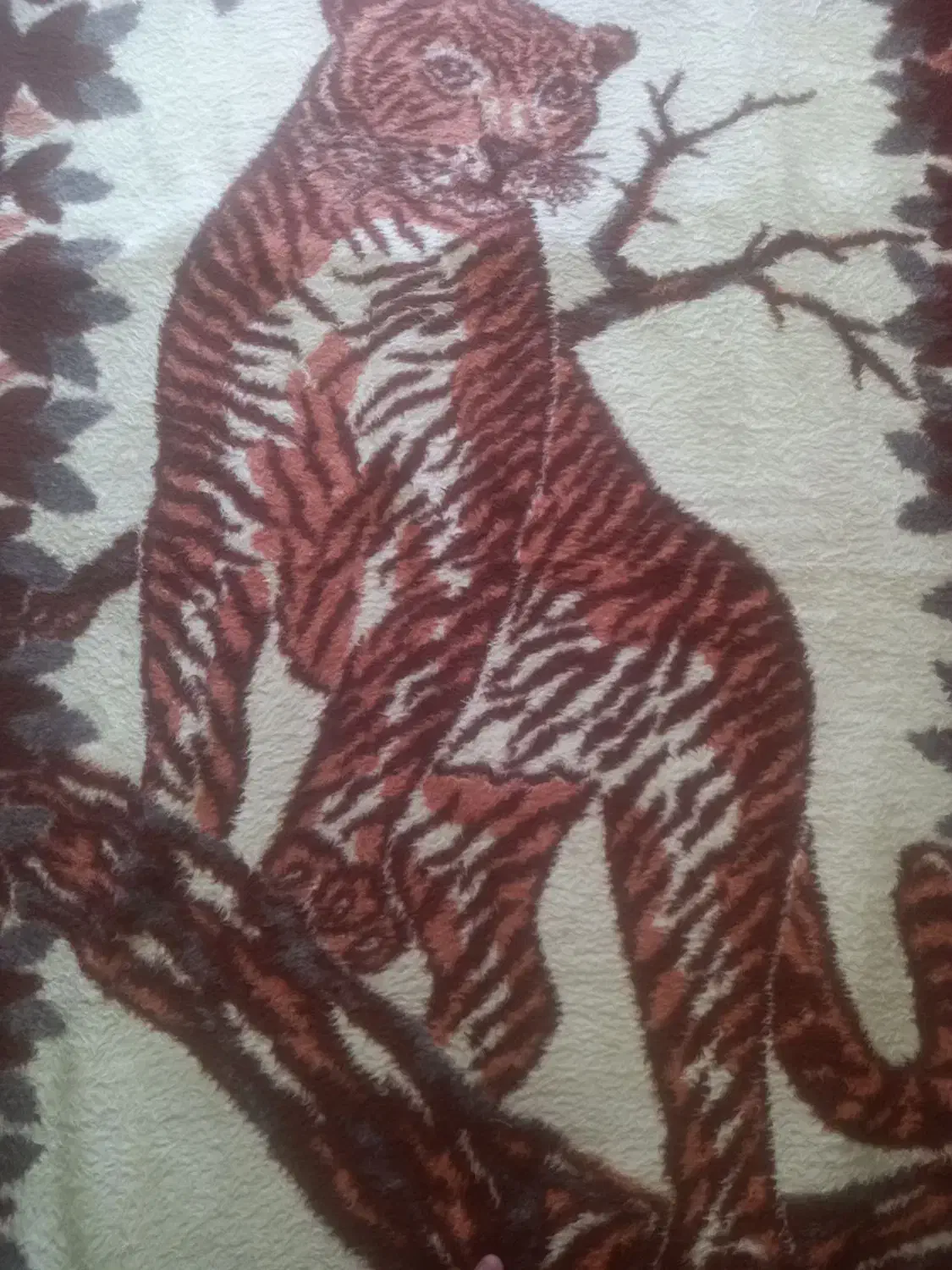 پتوپلنگی|رختخواب، بالش، پتو|قائمشهر, |دیوار