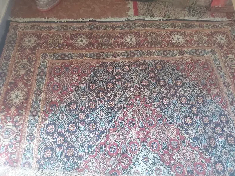 قالی تمیز و قشنگ|فرش|اهواز, چهارصد دستگاه|دیوار