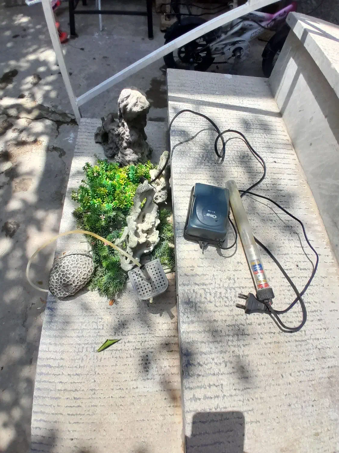 اکواریوم. شازند|ماهی|اراک, |دیوار