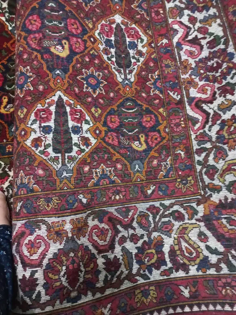 فرش دستباف رنگ ثابت ۶ متری و ۴و نیم متری|فرش|بابل, |دیوار