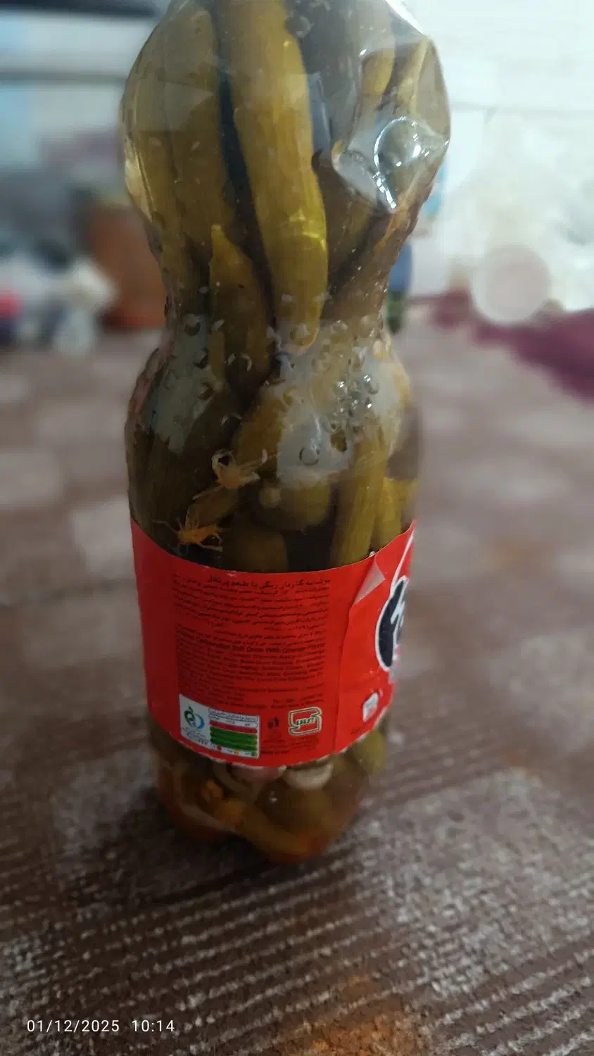 خیار شور|عمده‌فروشی|قنوات, |دیوار