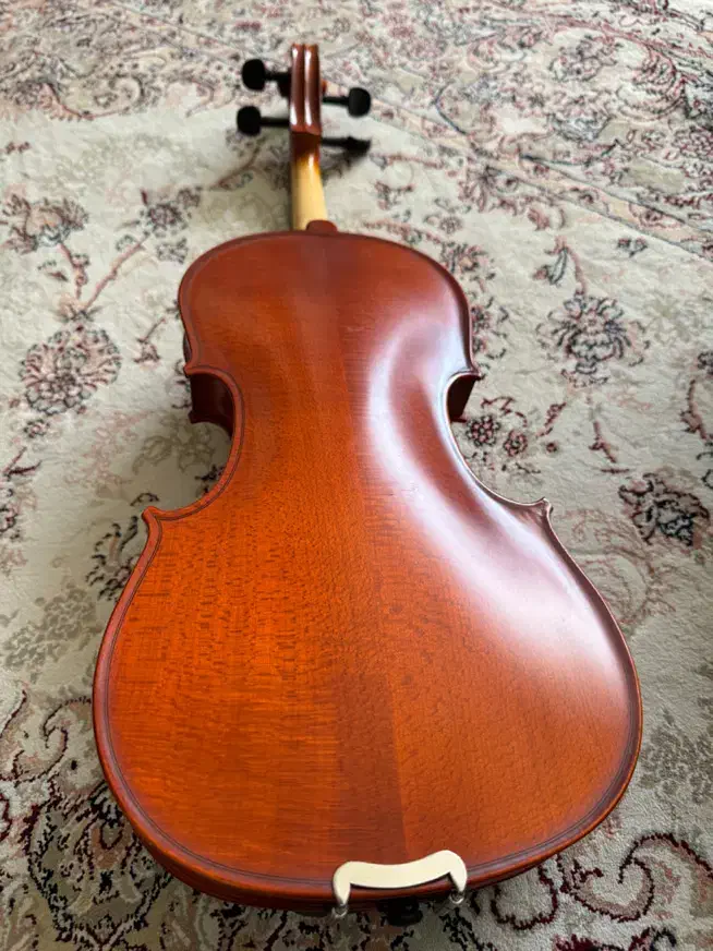 ویولون|ویولن|تبریز, |دیوار