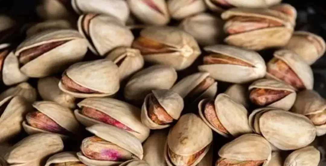 فروش زمین کشاورزی|فروش دفتر صنعتی، کشاورزی، تجاری|بردسیر, |دیوار