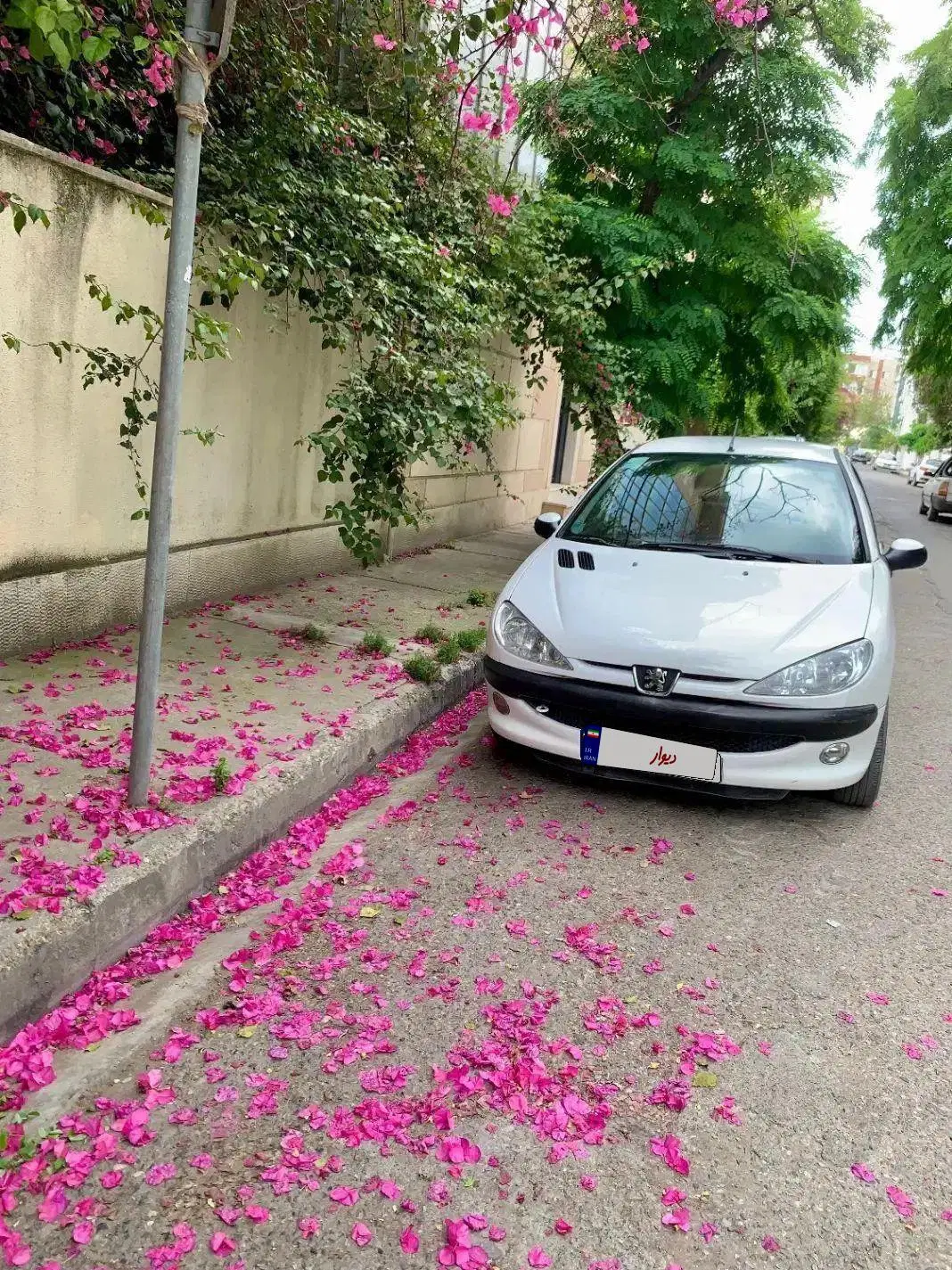 Sd مدل ۹۴|خودرو سواری و وانت|ساری, |دیوار