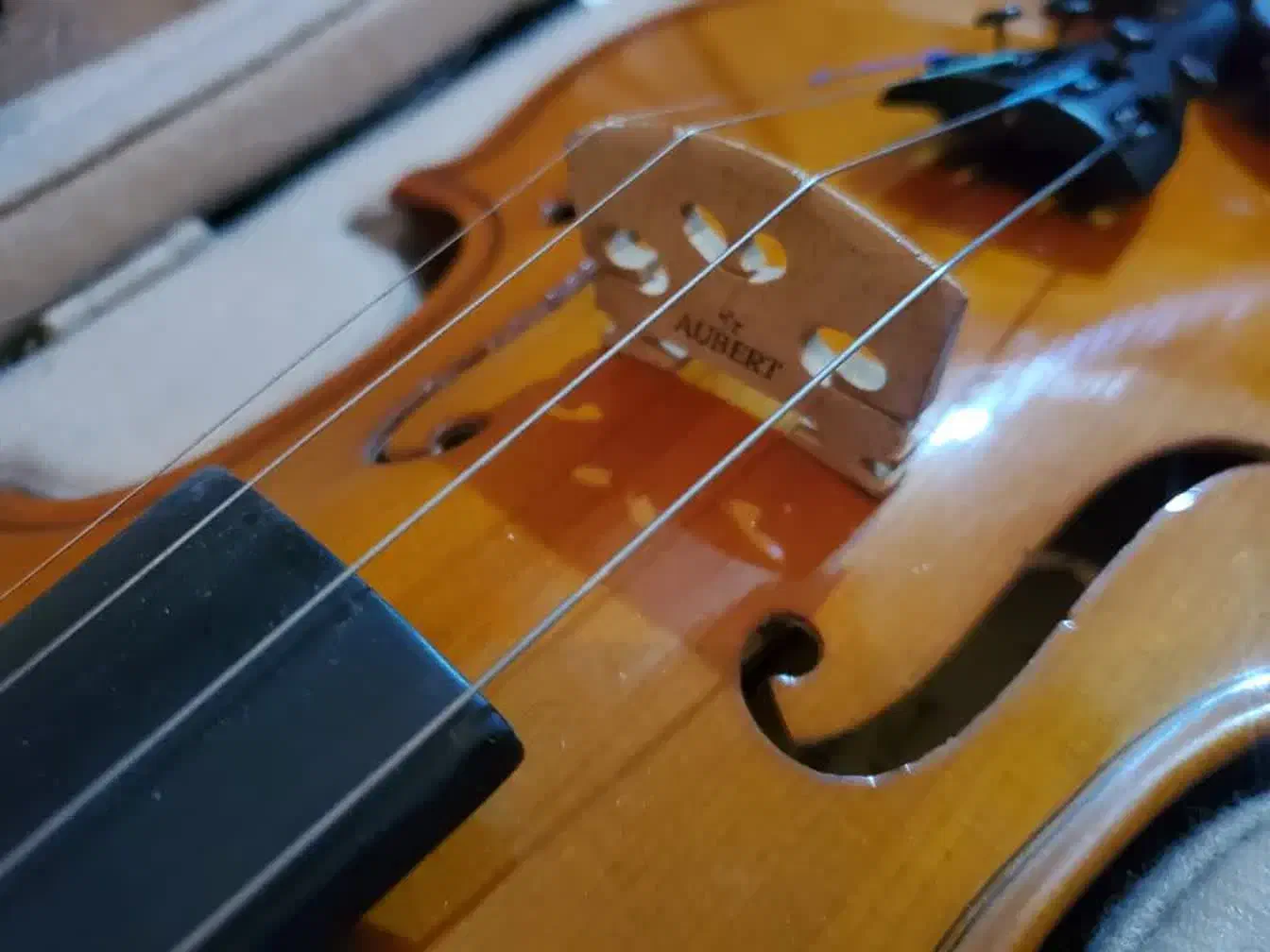 ویلون دومینگوئز|ویولن|اصفهان, میرعماد|دیوار