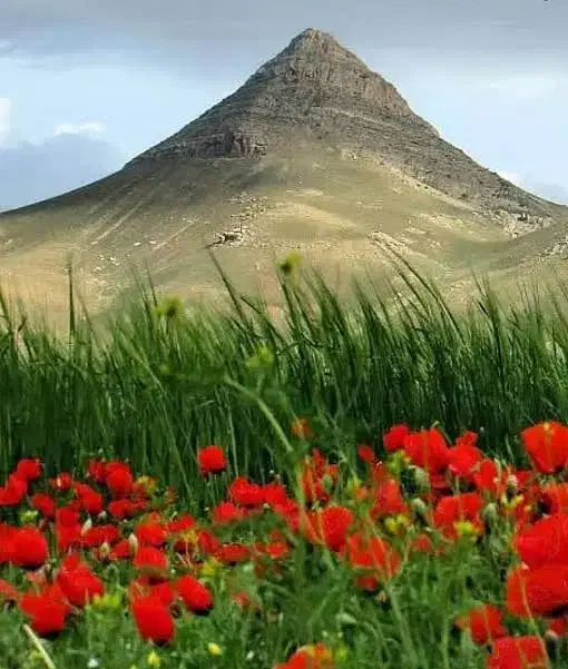 فروش یا تهاتر زمین کشاورزی  با آپارتمان|فروش زمین و ملک کلنگی|تهران, فرودگاه مهرآباد|دیوار