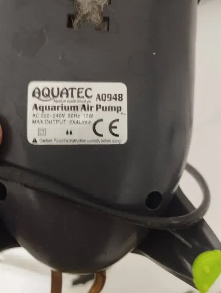 آکواریوم|ماهی|نهاوند, |دیوار