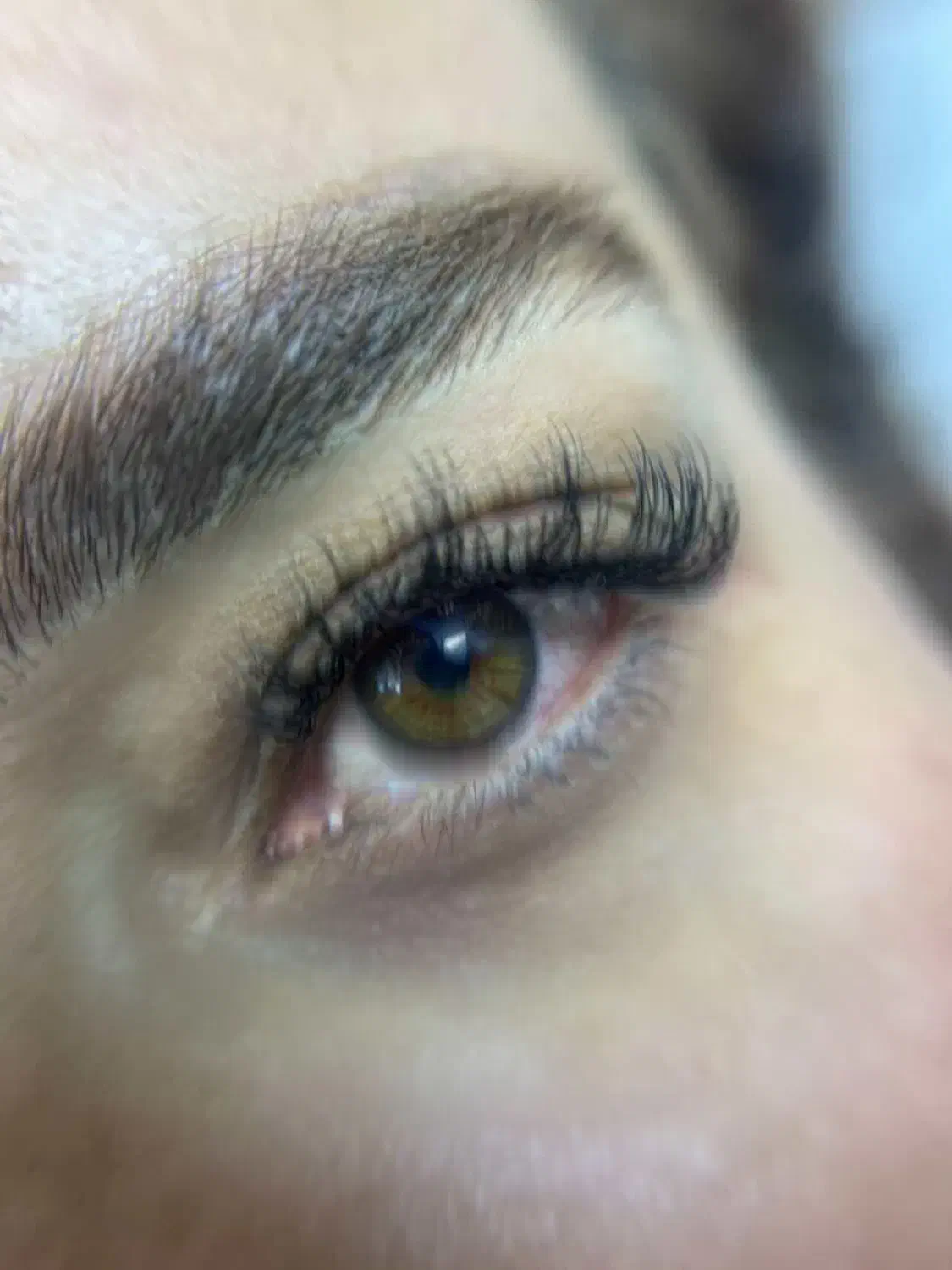 نیازمند مدل اکستیشن مژه (کاملا رایگان )|خدمات آرایشگری و زیبایی|قهدریجان, |دیوار