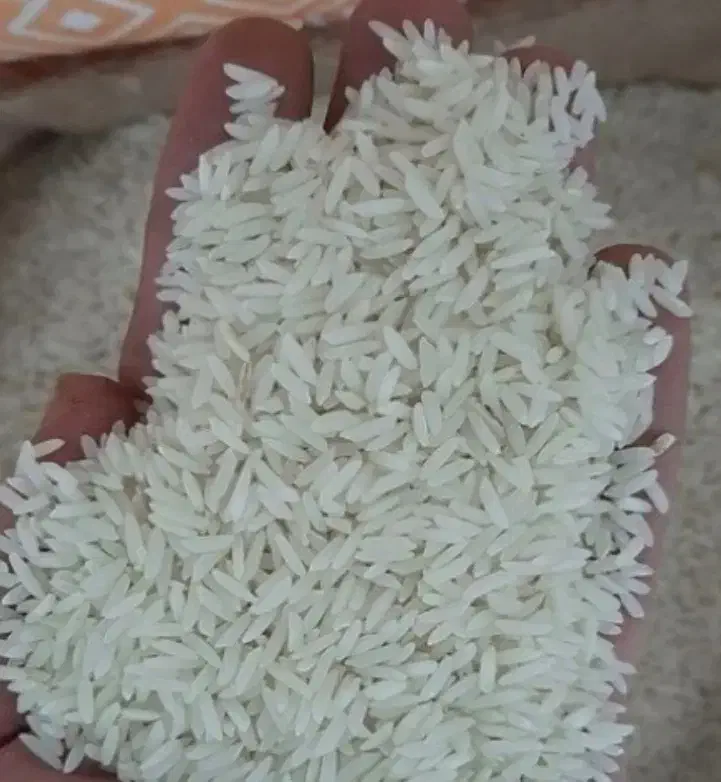 فوری برنج هاشمی درجهیک امساله سورتینگ شده فوری|خوردنی و آشامیدنی|لاهیجان, مهرگان|دیوار