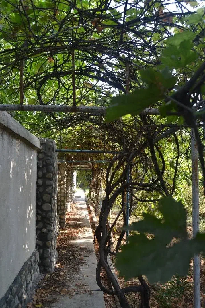 اجاره سالیانه ویلای سه طبقه با دو استخر|اجارهٔ خانه و ویلا|کوهسار (البرز), |دیوار