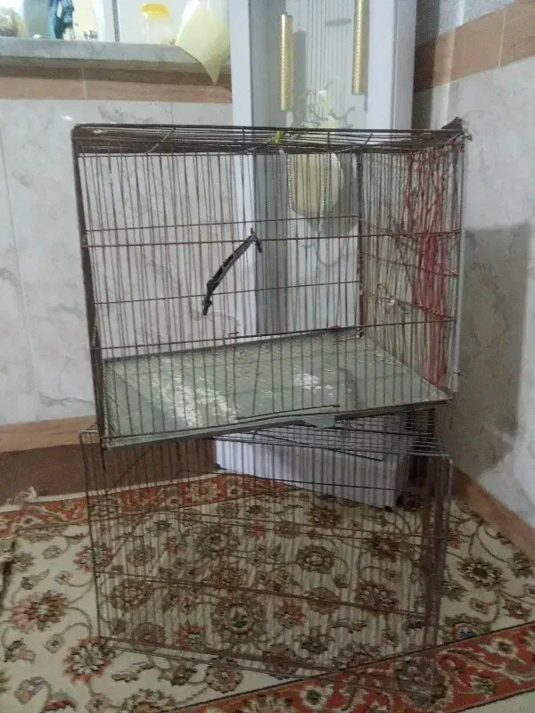دوعدد قفس سایز بزرگ|لوازم جانبی حیوانات|پاکدشت, پاکدشت (مامازند)|دیوار