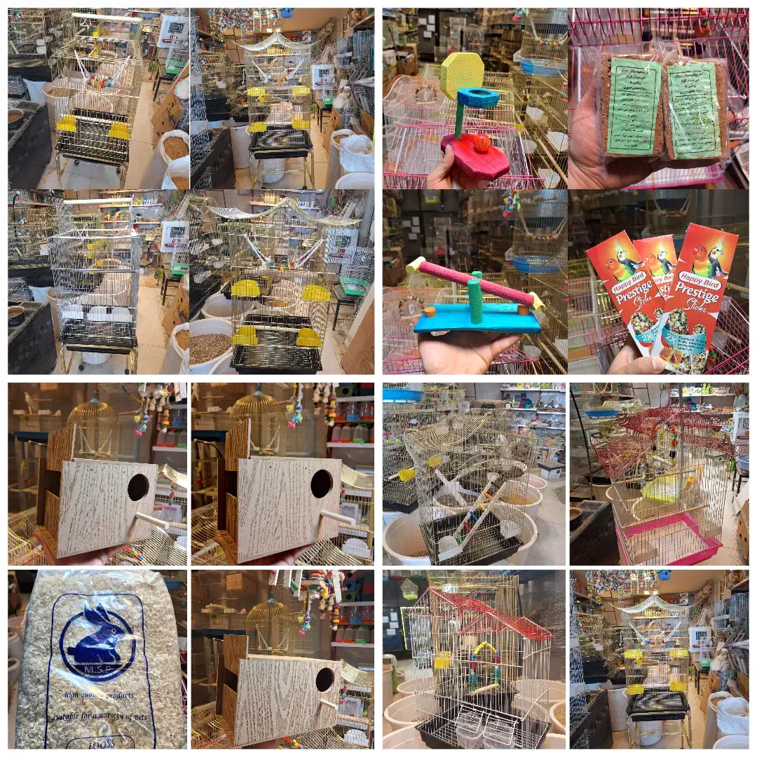 قفس پرنده لوازم کوله بازی لانه تاب دانه کف دریاوان|پرنده|اردبیل, |دیوار