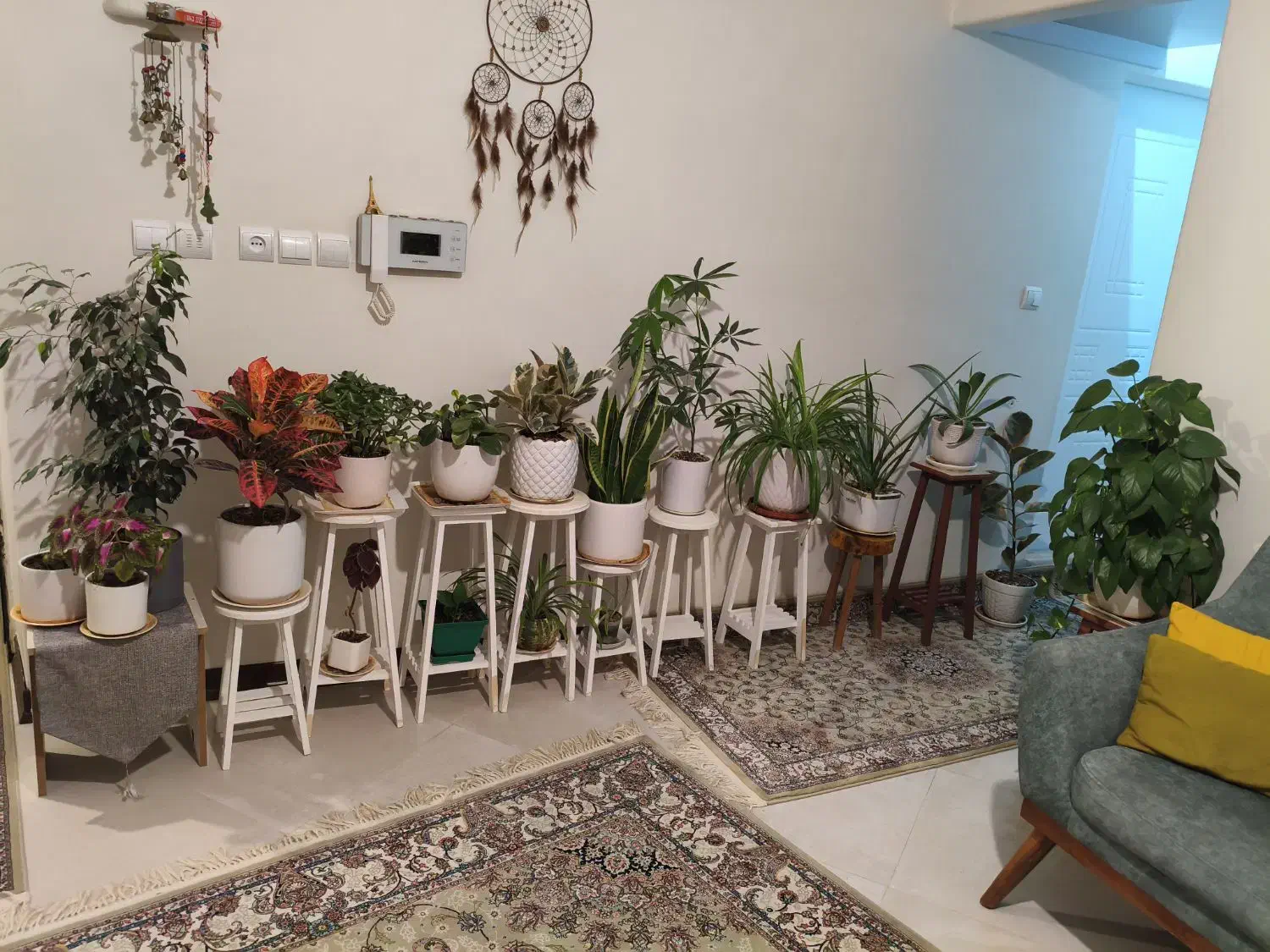 گلدان و پایه گدان|گل و گیاه طبیعی|لواسان, |دیوار