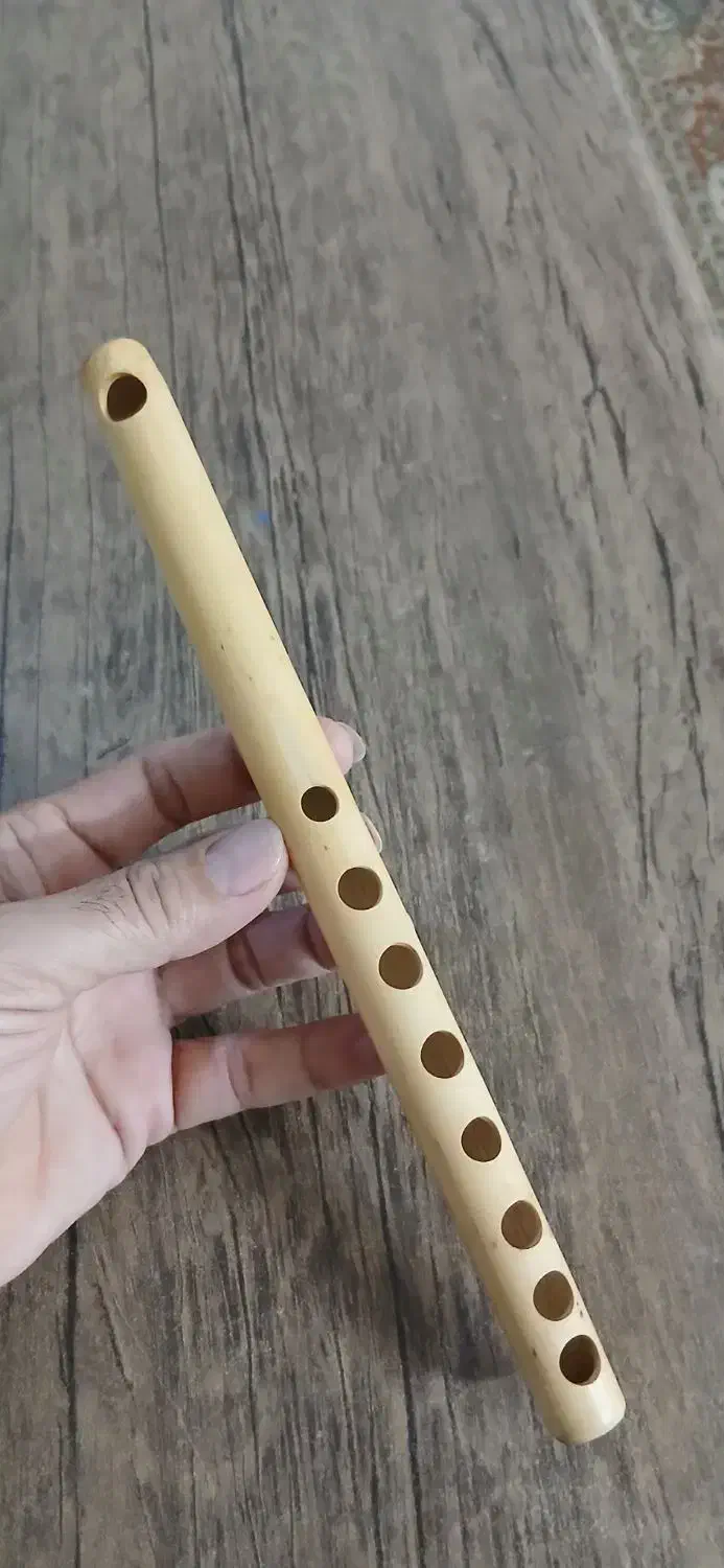 فلوت عربی|سازهای بادی|مشهد, شاهد (شهرک غرب)|دیوار