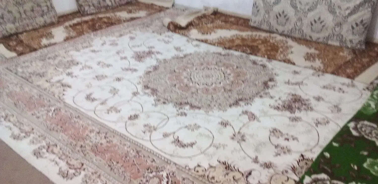 یک جفت فرش|فرش|خوی, |دیوار