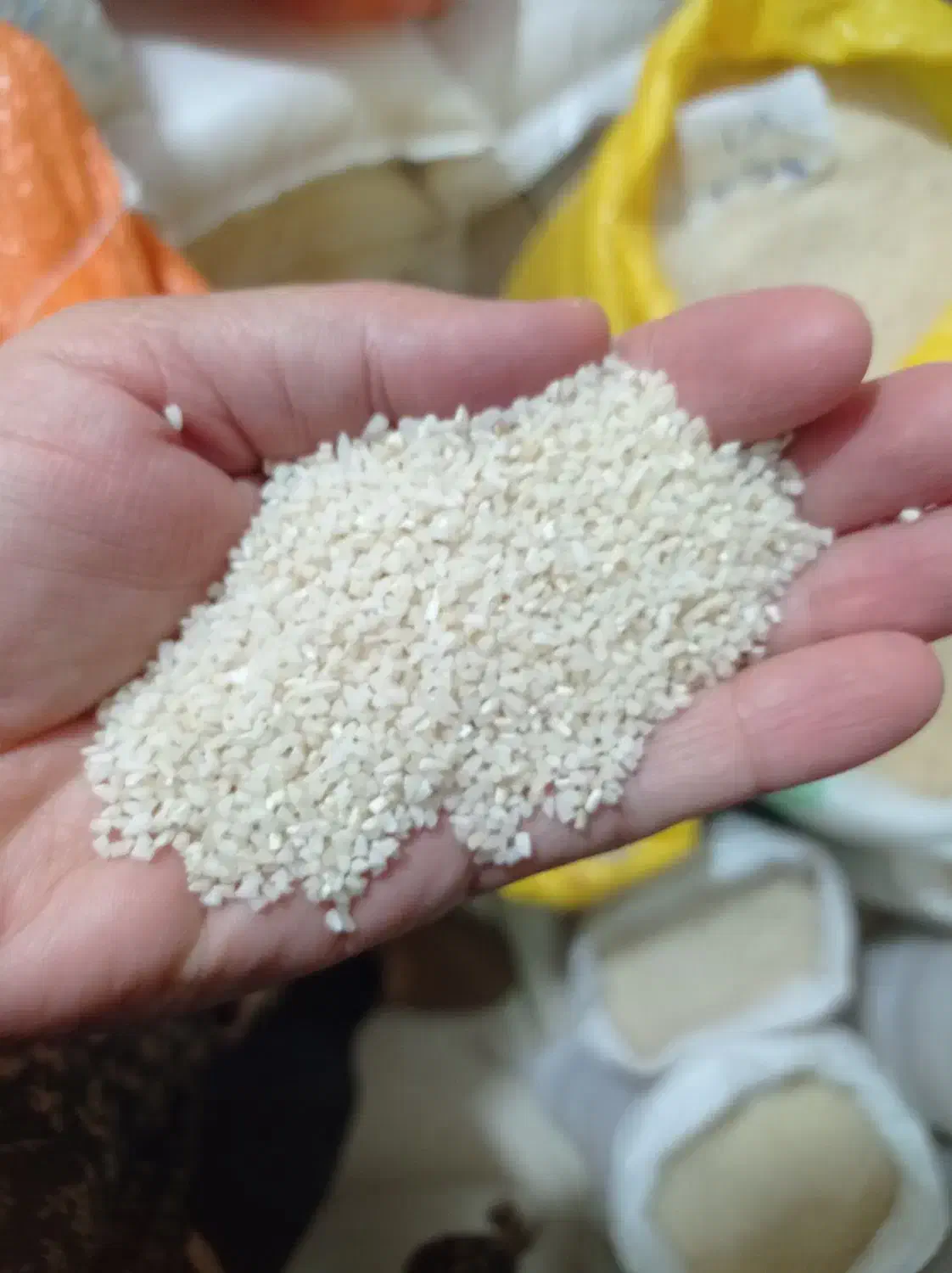 برنج ریز دانه معطر برای ارد|خوردنی و آشامیدنی|رشت, دیانتی|دیوار