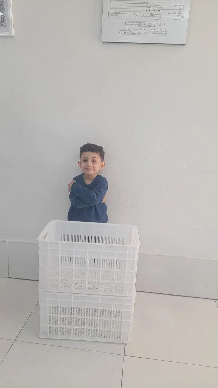 فروش و حراج سبد 20 کیلویی|عمده‌فروشی|ری, جوانمرد قصاب|دیوار