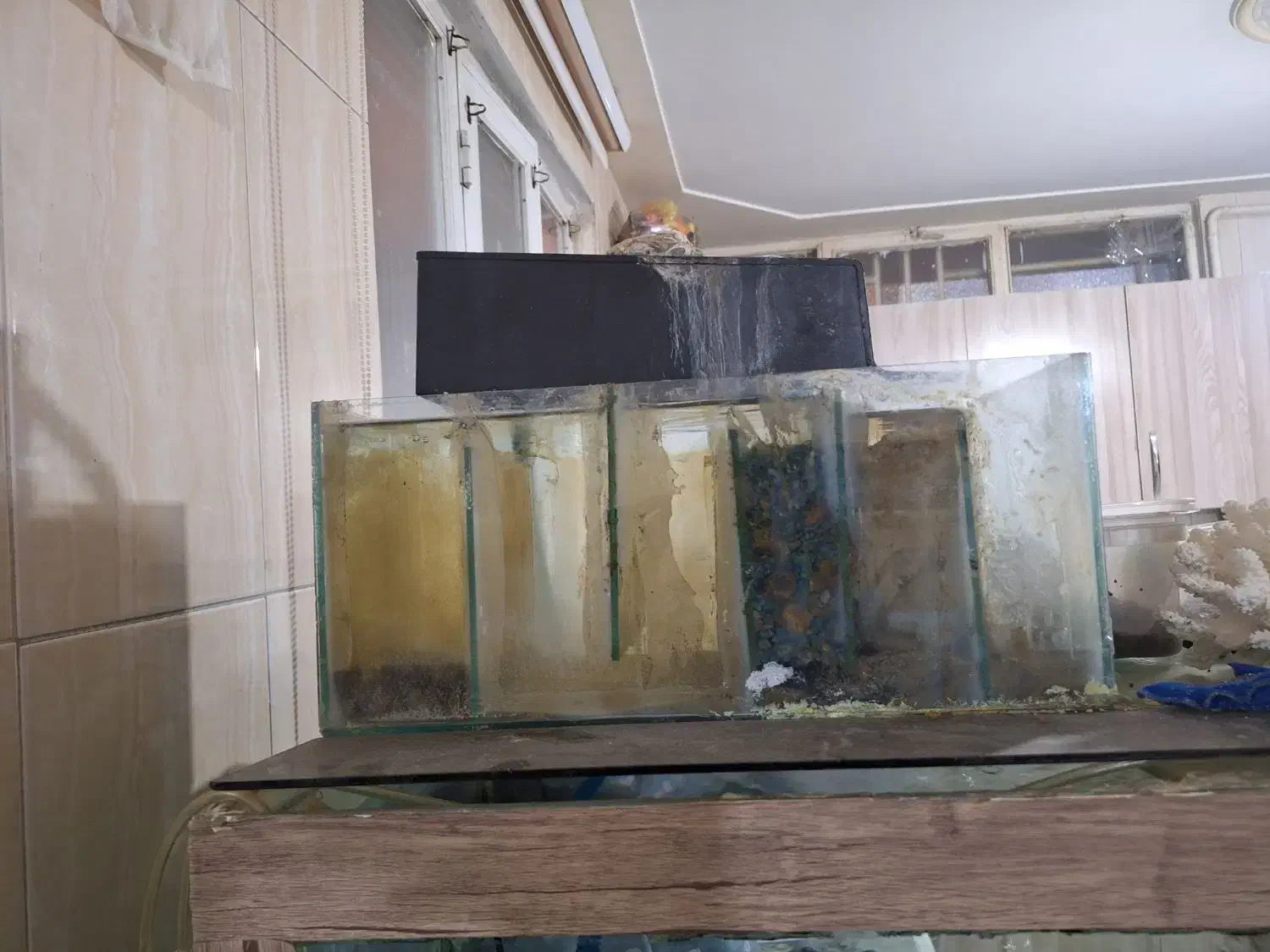 اکواریوم با تمام وسایل|ماهی|کرمانشاه, |دیوار