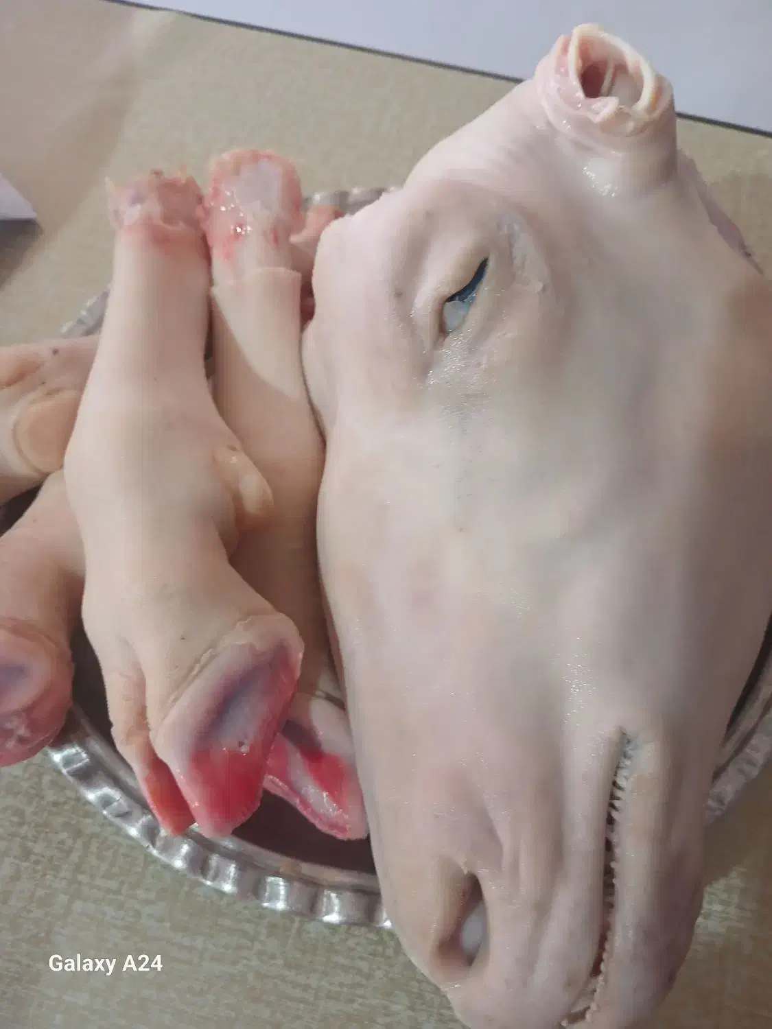 پاک کله پاچه|خدمات نظافت|خرم‌آباد, |دیوار