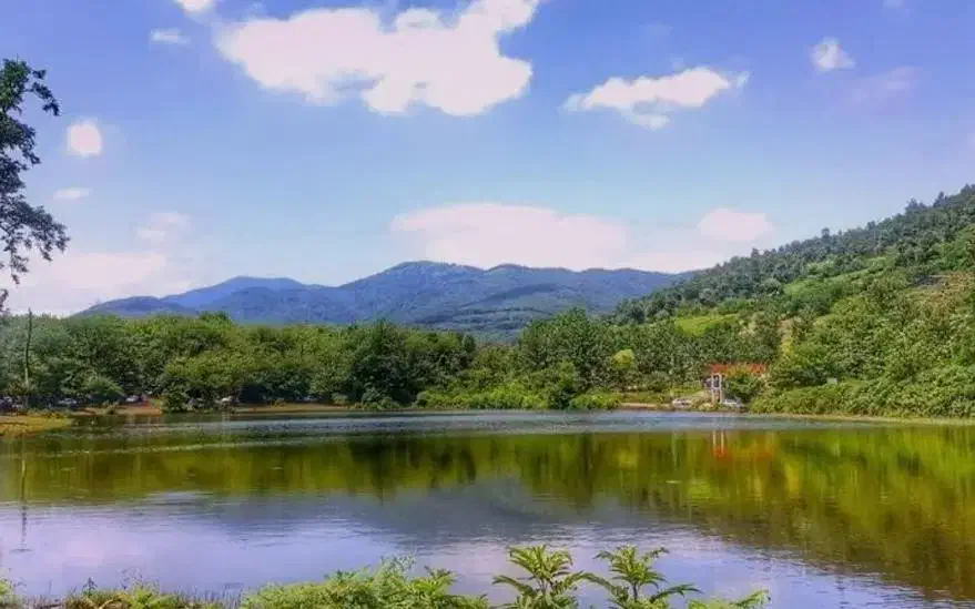 اجاره ویلا|اجارهٔ کوتاه‌مدت ویلا و باغ|توتکابن, |دیوار