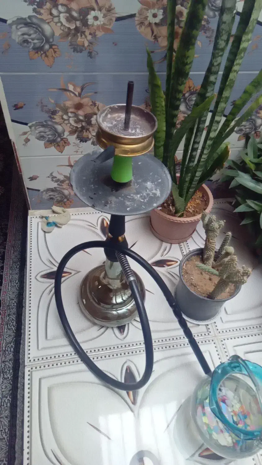 زیبا|کافی‌شاپ و رستوران|شیروان (خراسان), |دیوار