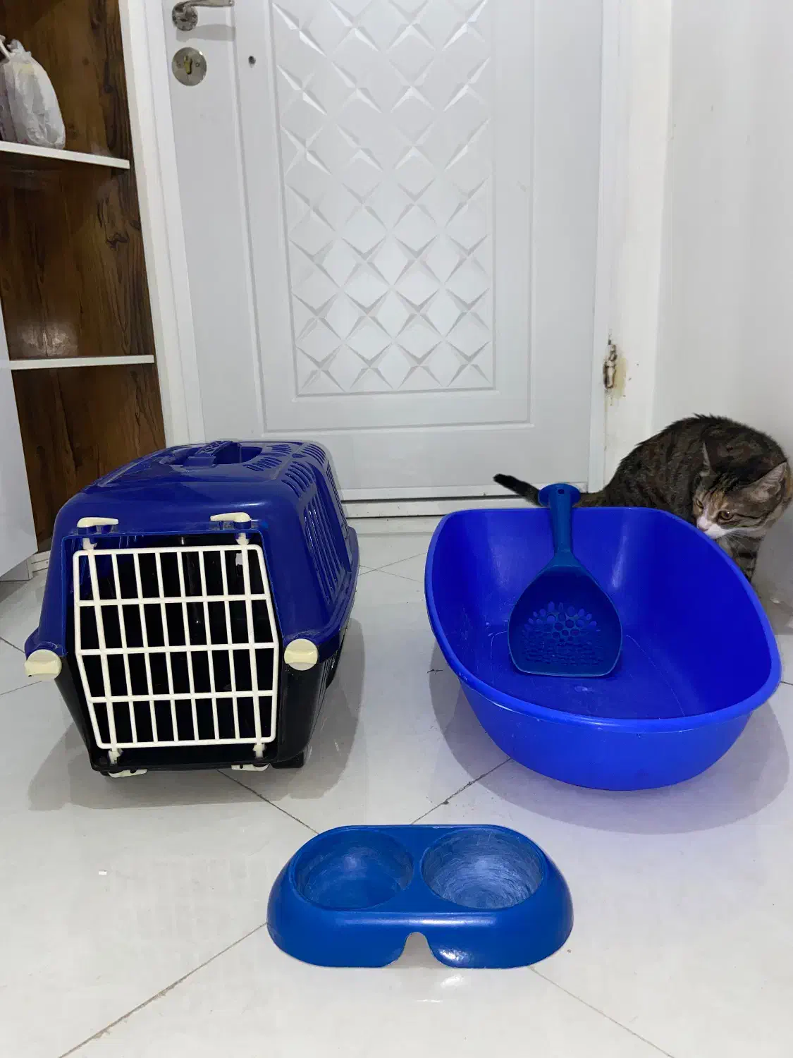 وسایل واجب گربه|لوازم جانبی حیوانات|مشهد, امیریه|دیوار