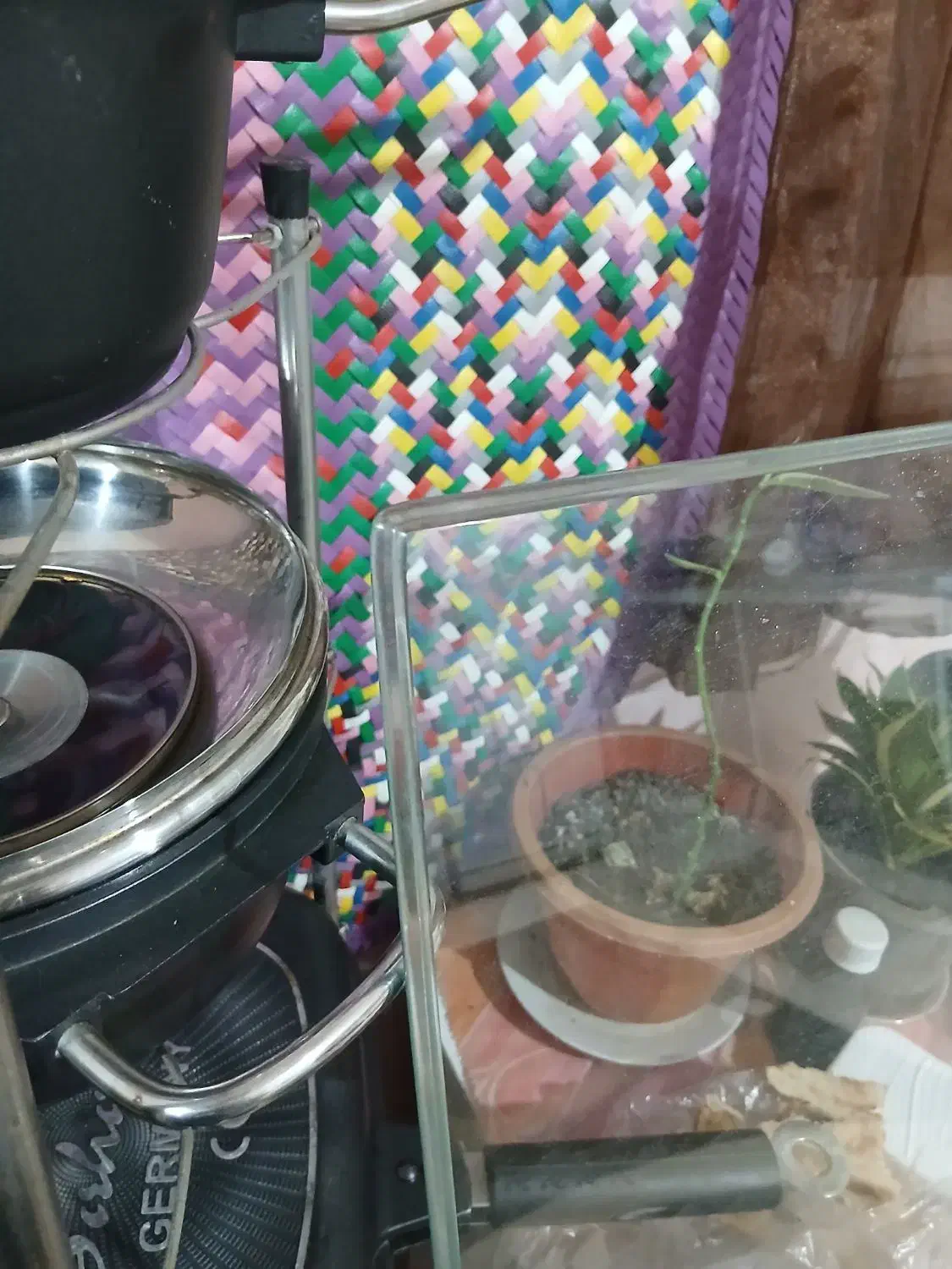 شیشه میز غذاخوری|میز و صندلی غذاخوری|صومعه‌سرا, |دیوار