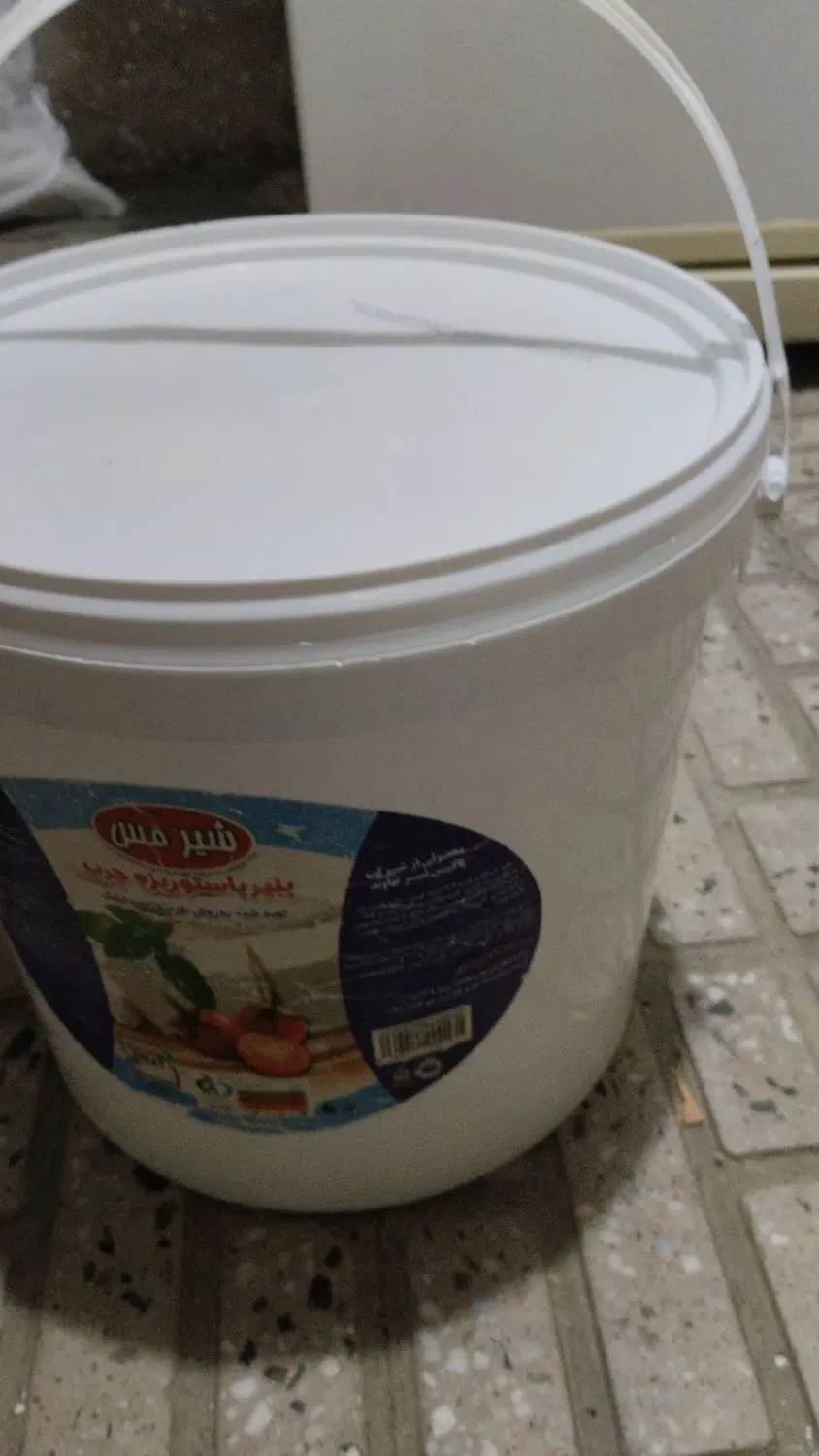 سطل پنیر|ظروف نگهدارنده، پلاستیکی، یک‌بارمصرف|مریوان, |دیوار