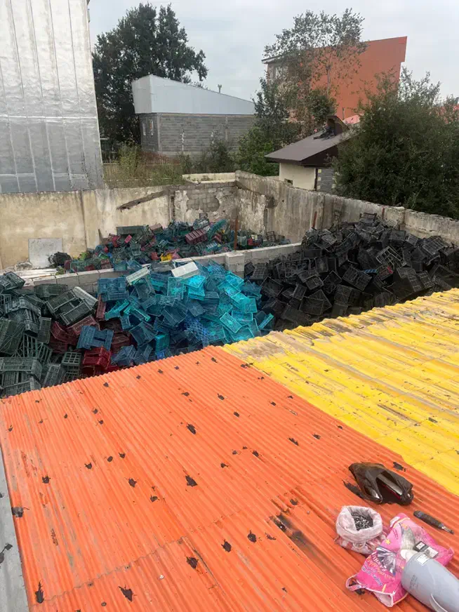 خرید سبد میوه تسویه سر باسکول|خدمات پیشه و مهارت|رشت, ترمینال|دیوار