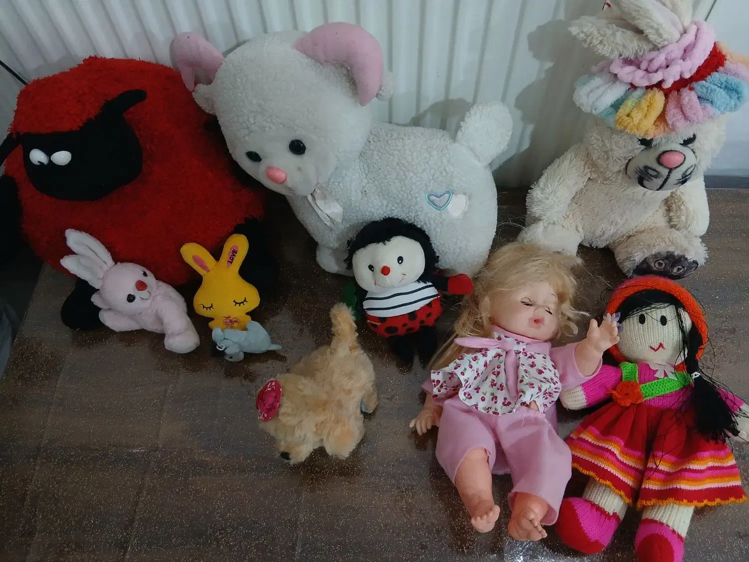 عروسک اسباب بازی گوسفندبزغاله کفشدوزک خرگوش|اسباب‌‌بازی|مشکین‌دشت, |دیوار