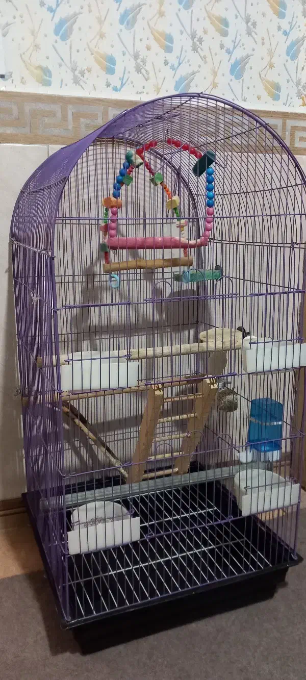 قفس|اسباب‌‌بازی|کرج, خرمدشت|دیوار