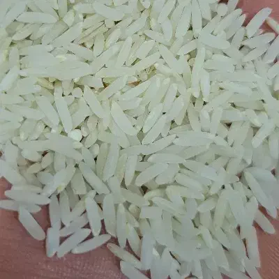 برنج طارم|خوردنی و آشامیدنی|مزرعه کتول, |دیوار