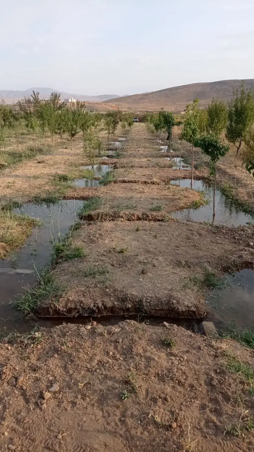 باغ 1700 متری در آبگرم|فروش زمین و ملک کلنگی|آبگرم, |دیوار