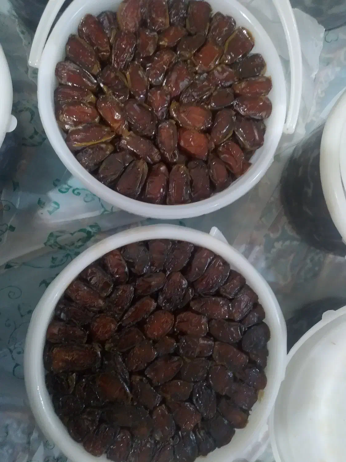 خرما خاصی وکبکاب|عمده‌فروشی|بیکاه, |دیوار