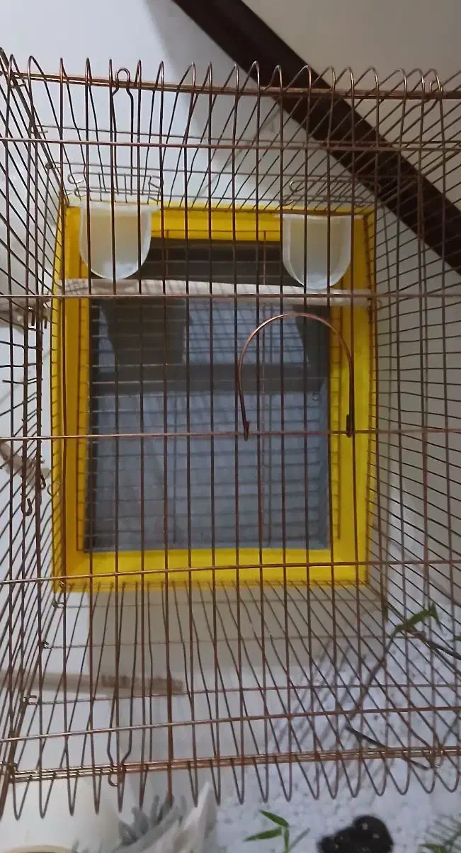 قفس نو|لوازم جانبی حیوانات|کرج, باغستان|دیوار