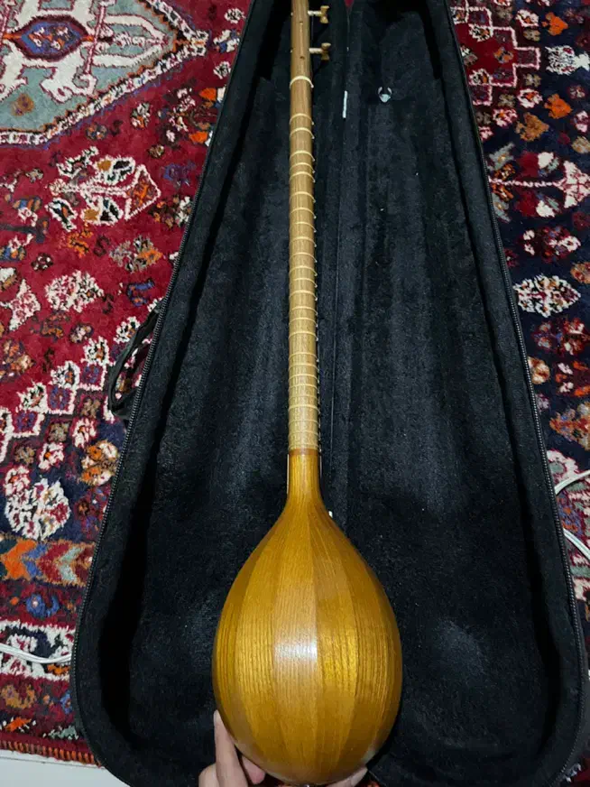 سه تار مهر استاد رضایی|سازهای سنتی|شیراز, ستارخان|دیوار