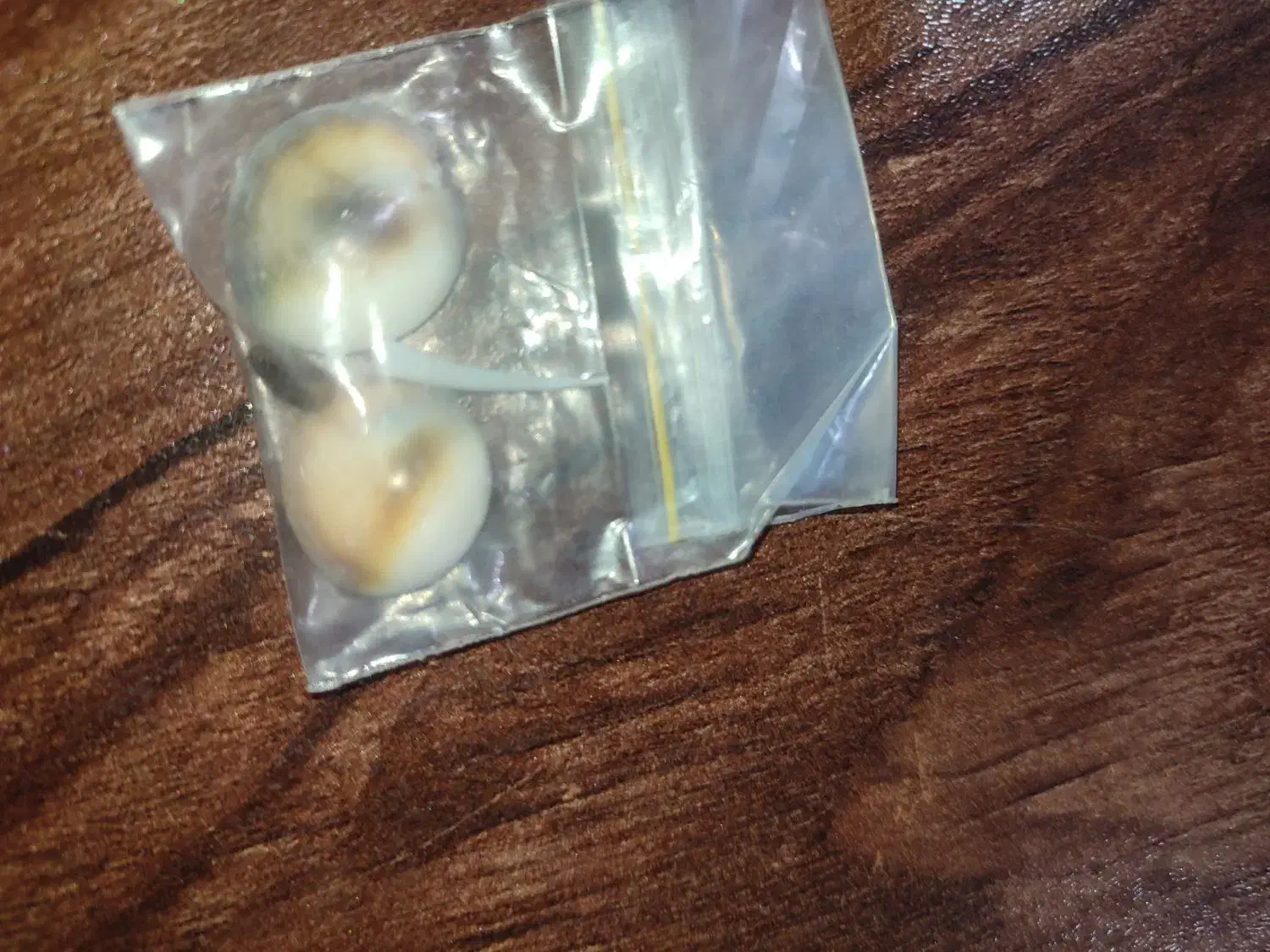 دو عدد نگین یک انگشتر و یک جفت مهره اصل|جواهرات|کرمان, |دیوار