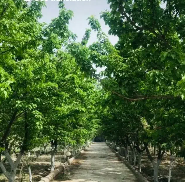 باغ ویلا جنگلی|اجارهٔ کوتاه‌مدت ویلا و باغ|مشهد, راهنمایی|دیوار