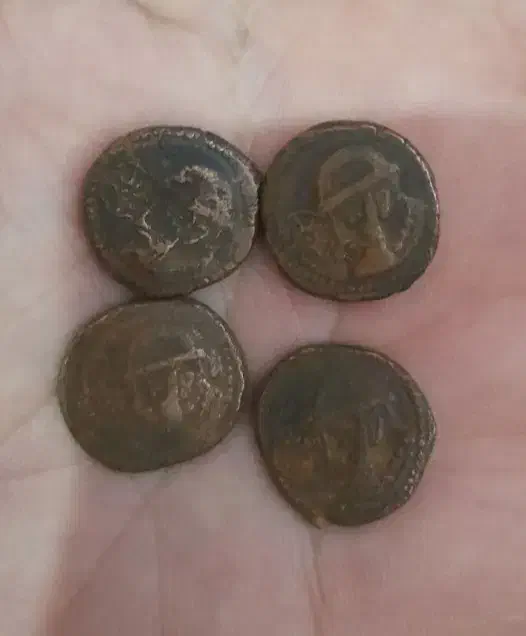 سکه|کلکسیون سکه، تمبر، اسکناس|تبریز, |دیوار