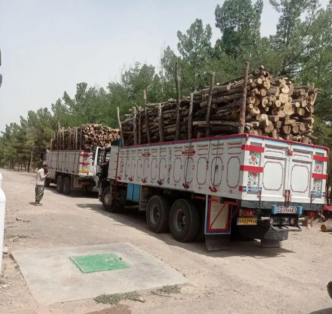 خرید چوب|خدمات باغبانی و درختکاری|نیشابور, خیام|دیوار