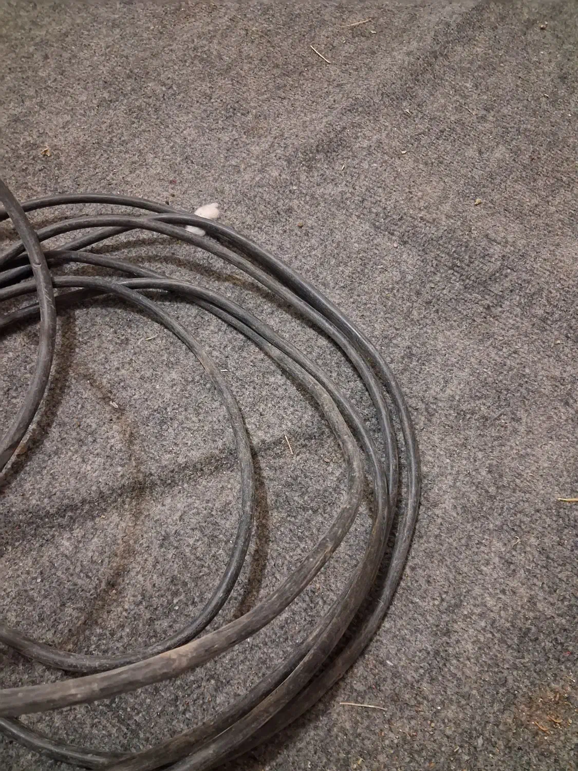 ۱۰۰متر کابلسه فاز|مصالح و تجهیزات ساختمان|بالا ولایت, |دیوار