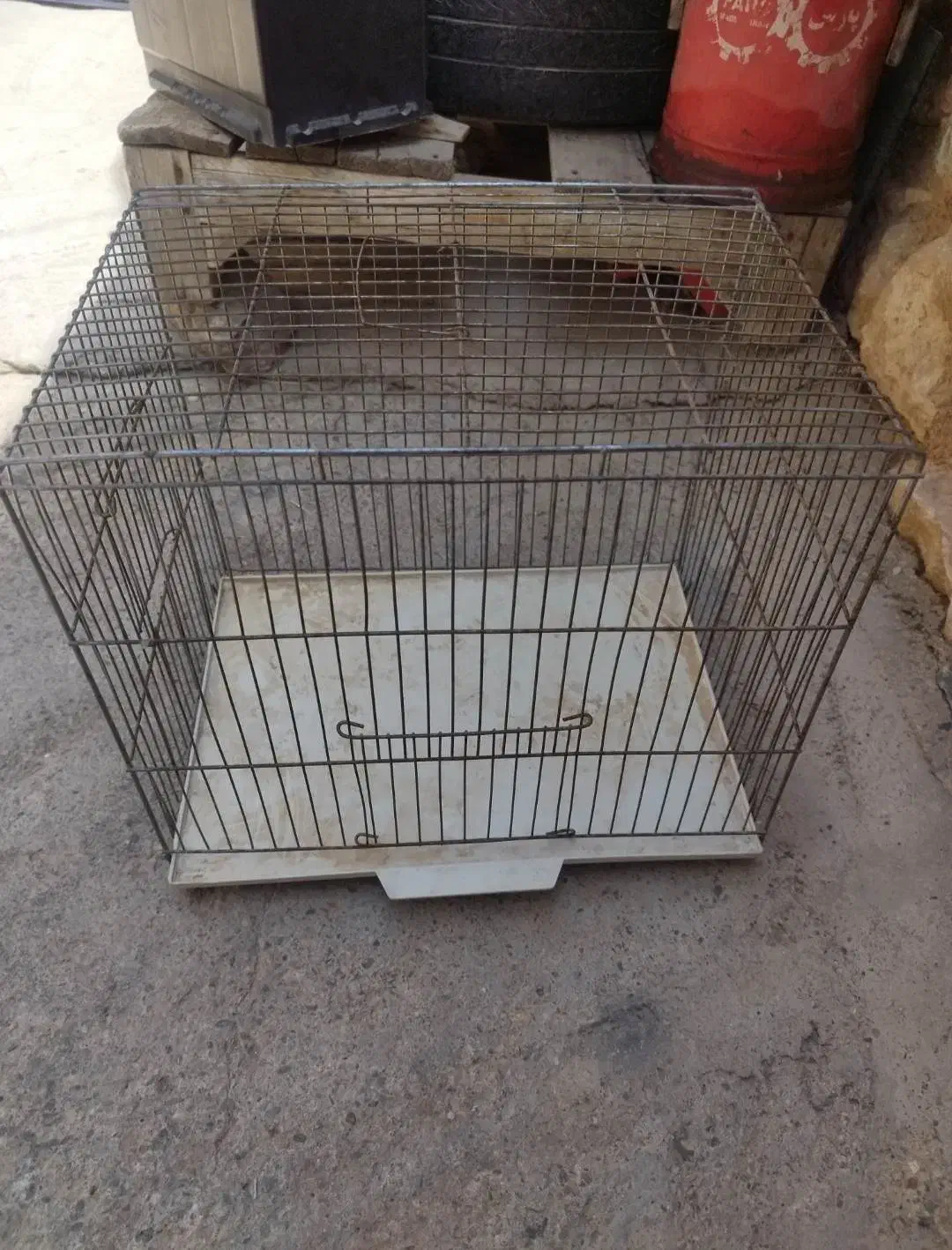 فروش قفس|لوازم جانبی حیوانات|سقز, |دیوار