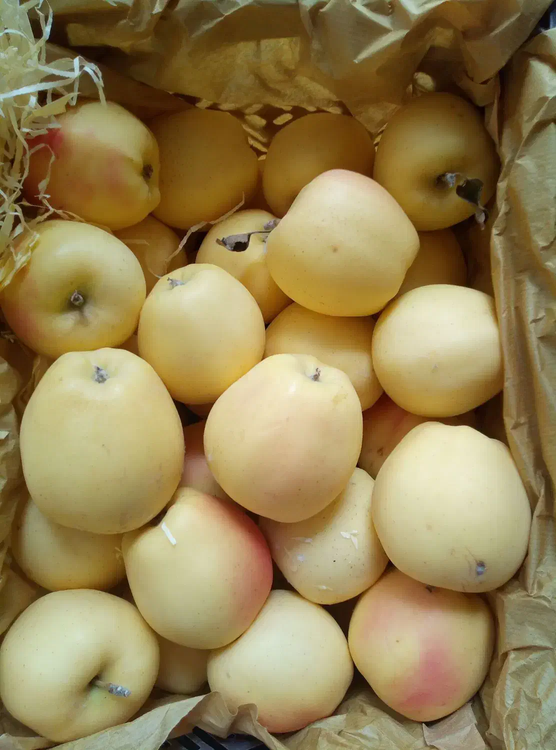 «دو نفر کارگر ساده زرنگ »« دو نفر حساب دار»|استخدام مالی، حسابداری، حقوقی|میاندوآب, |دیوار