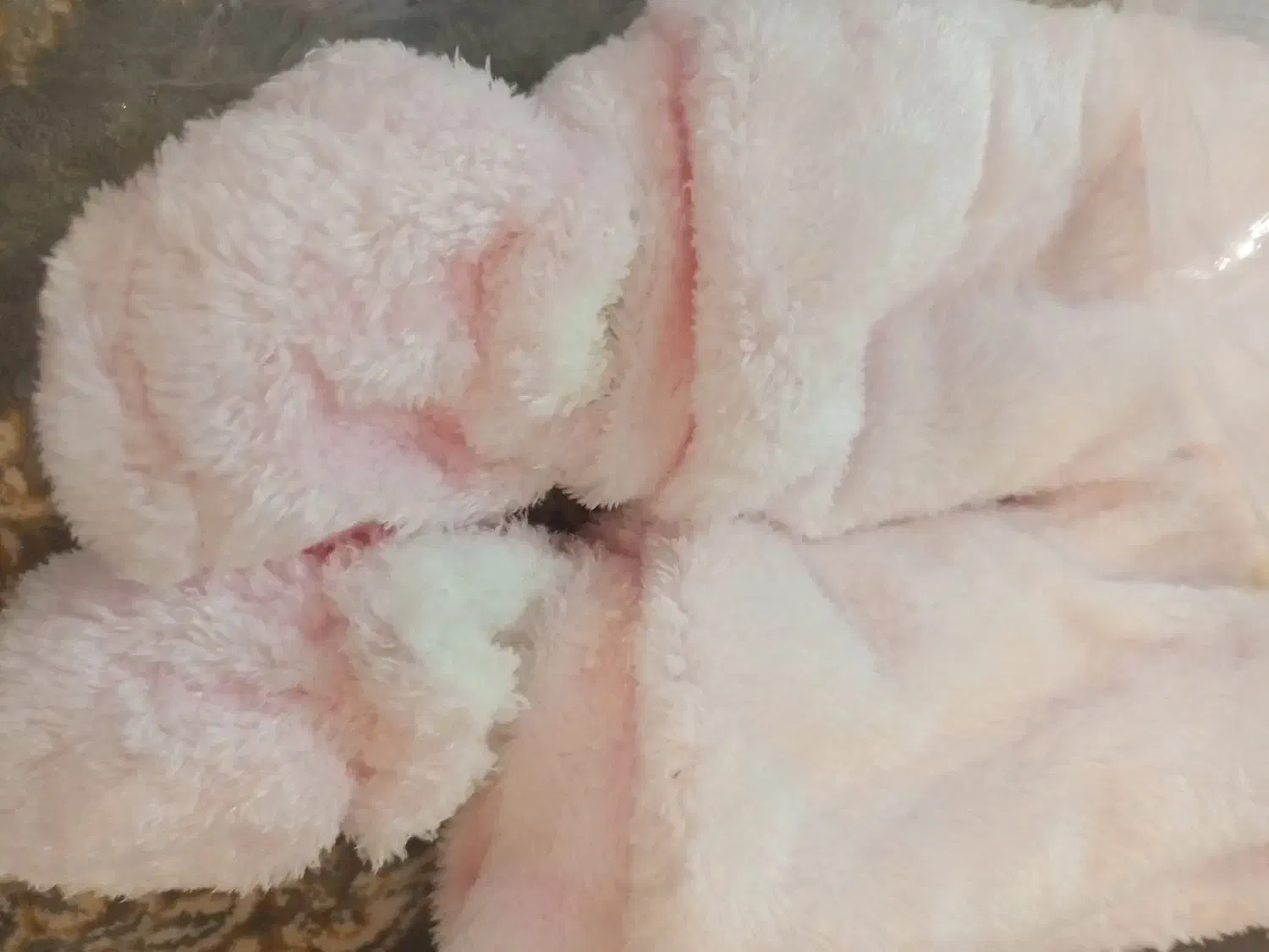 سرهمی بچگانه|کفش و لباس بچه|گنبد کاووس, |دیوار